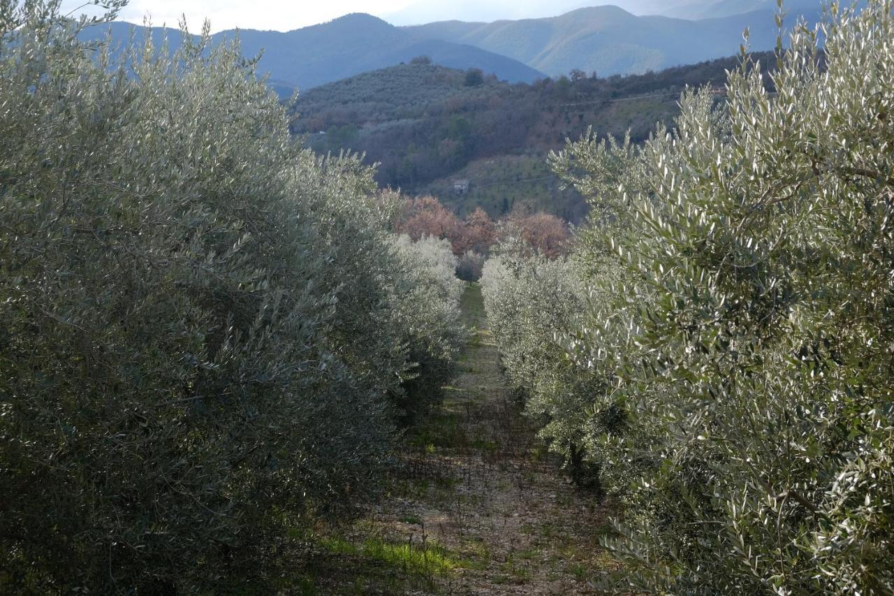 Agriturismo Il Casaletto Montefranco Exteriér fotografie