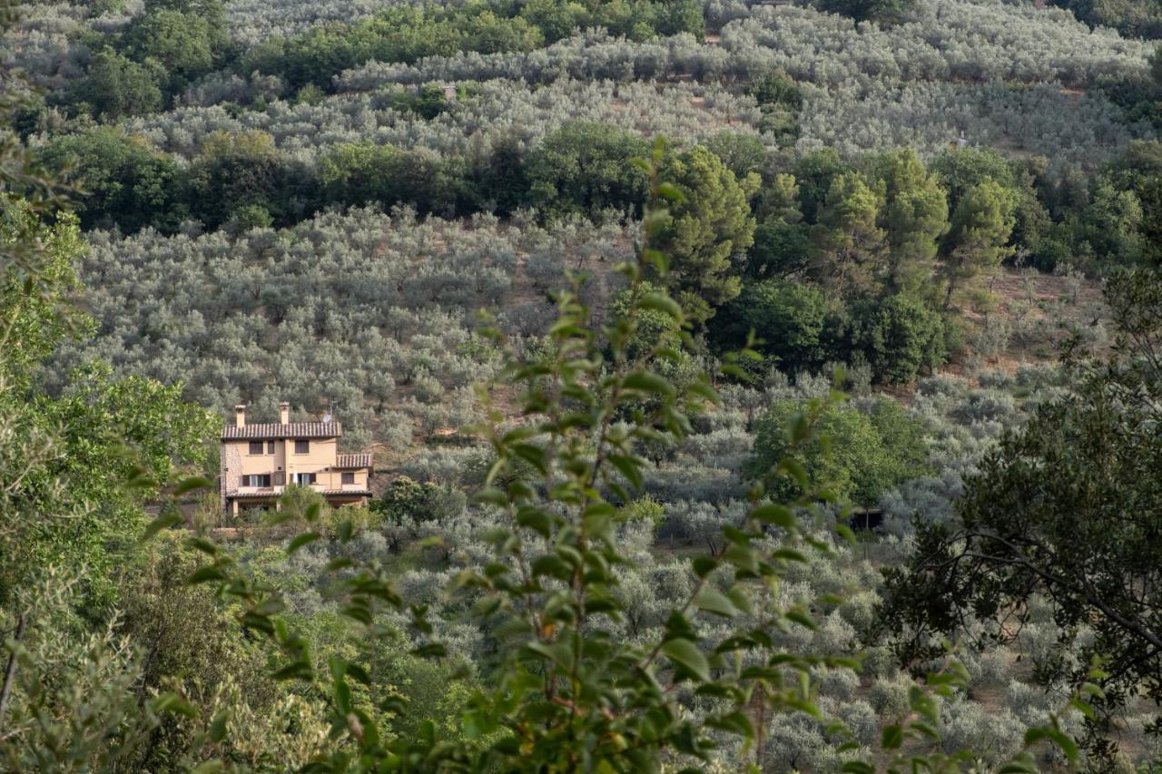 Agriturismo Il Casaletto Montefranco Exteriér fotografie